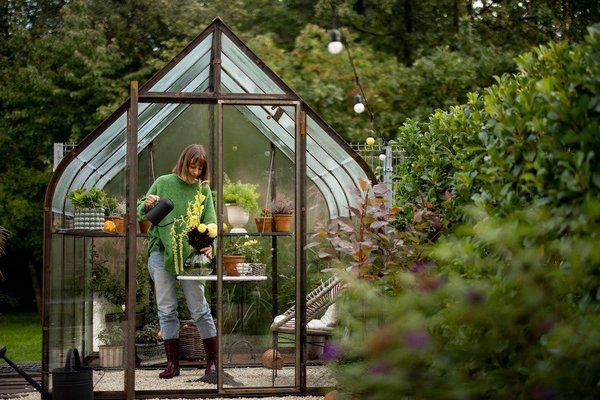 How do you choose the right size and type of greenhouse for a UK backyard?