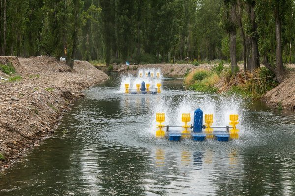 How to Build a Self-Sustaining Aquaculture System in a UK Backyard?