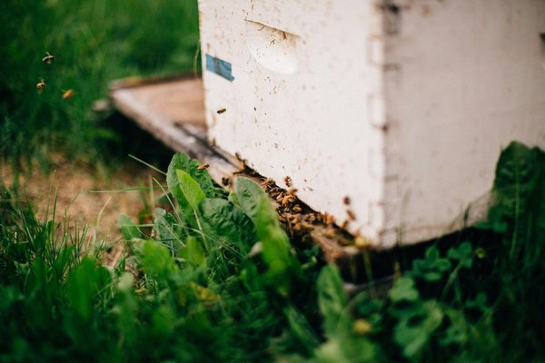 Winter in quebec and its effect on gutters: what to know